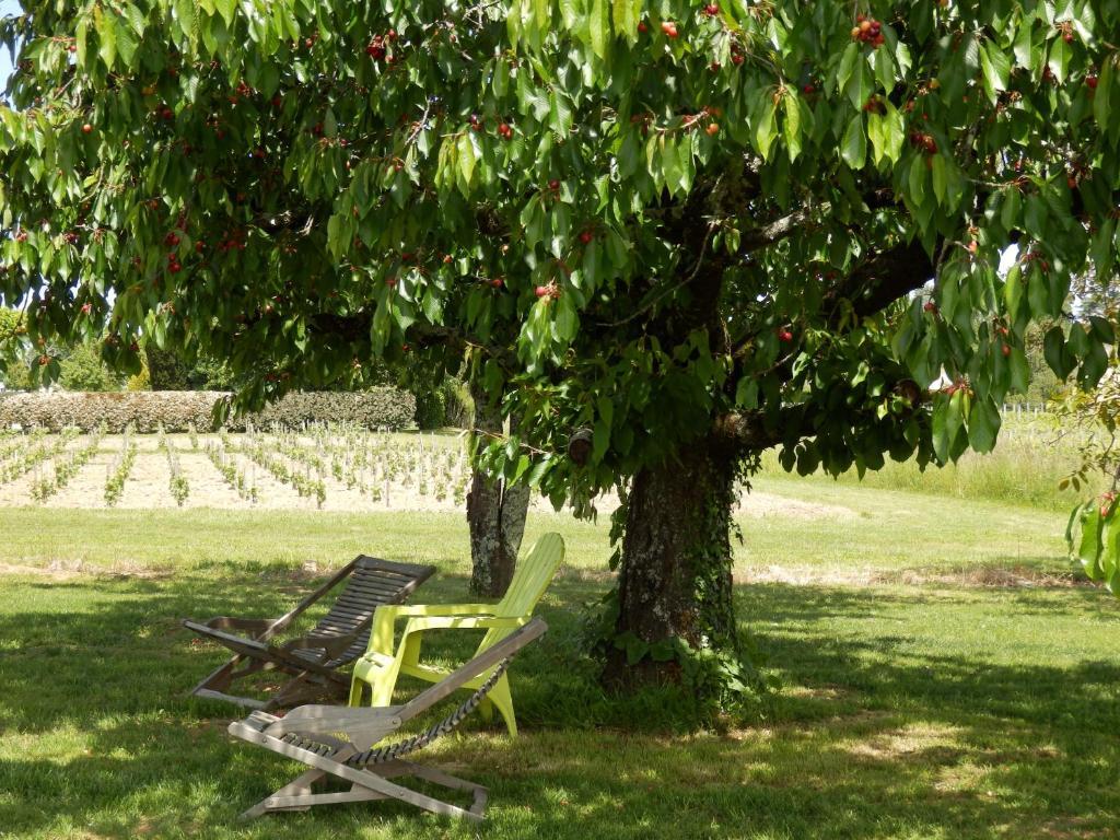 Moulon-sur-Dordogne Chateau La Mothe Du Barry المظهر الخارجي الصورة